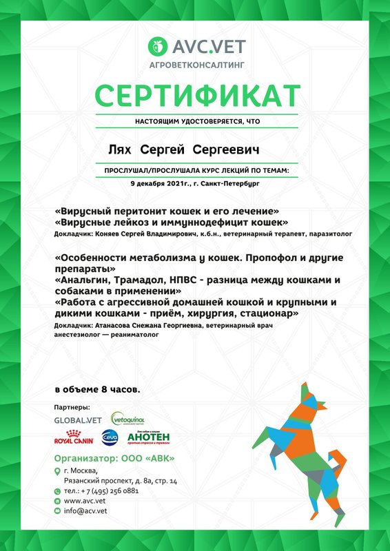 Документ или сертификат