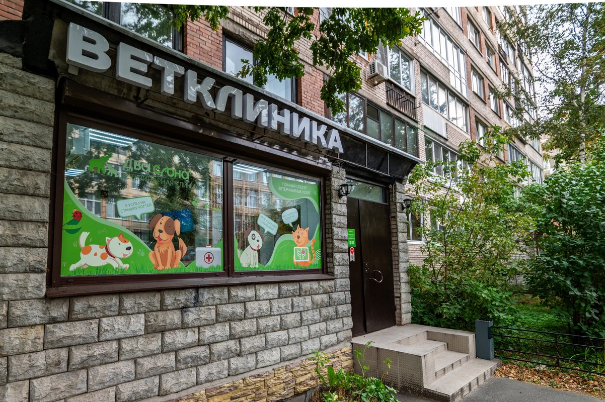 Фото врача