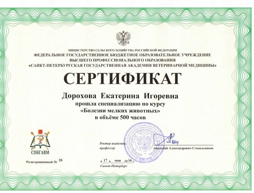 Документ или сертификат