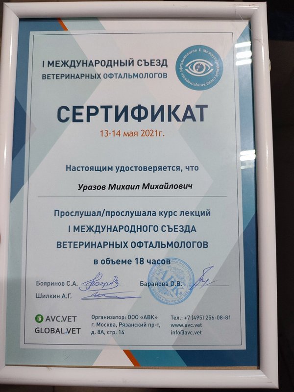 Документ или сертификат