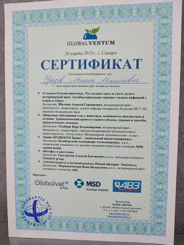 Документ или сертификат