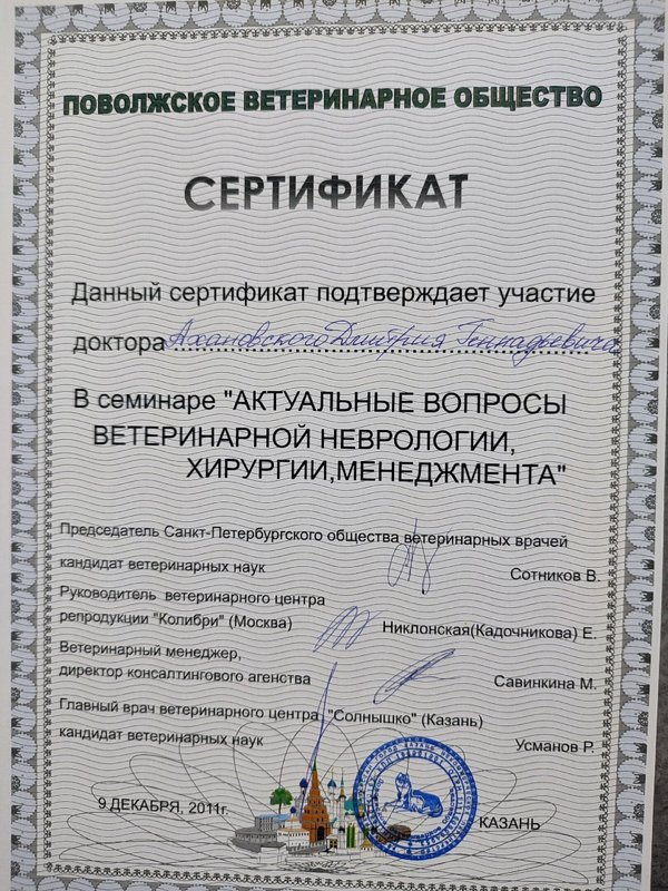 Документ или сертификат
