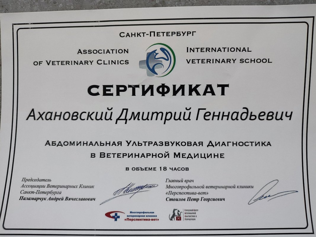 Документ или сертификат
