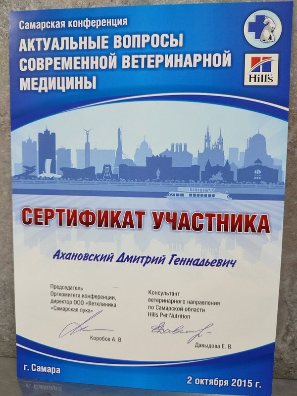 Документ или сертификат