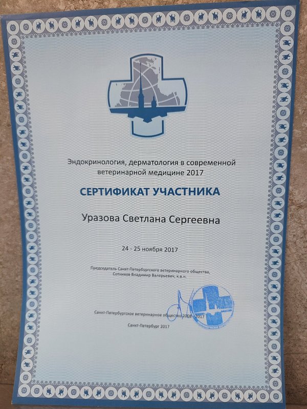 Документ или сертификат