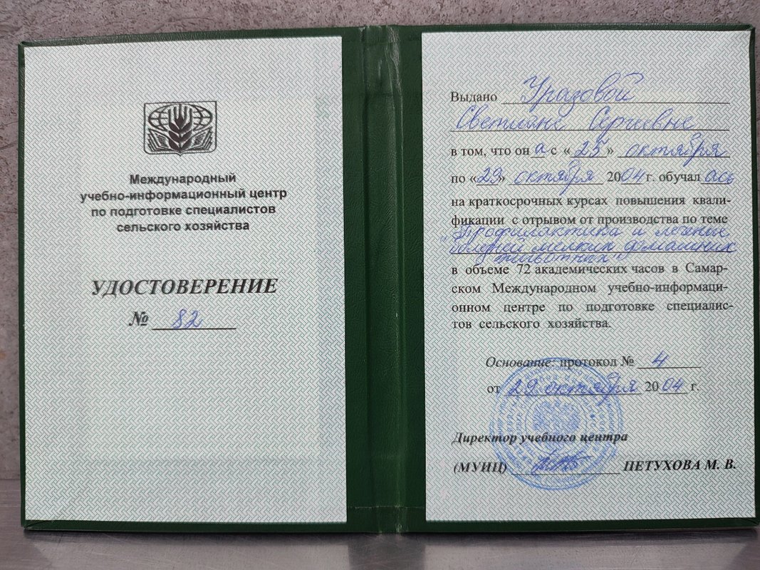 Документ или сертификат