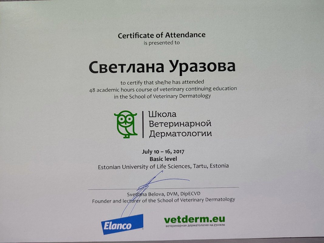 Документ или сертификат