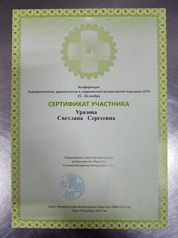 Документ или сертификат