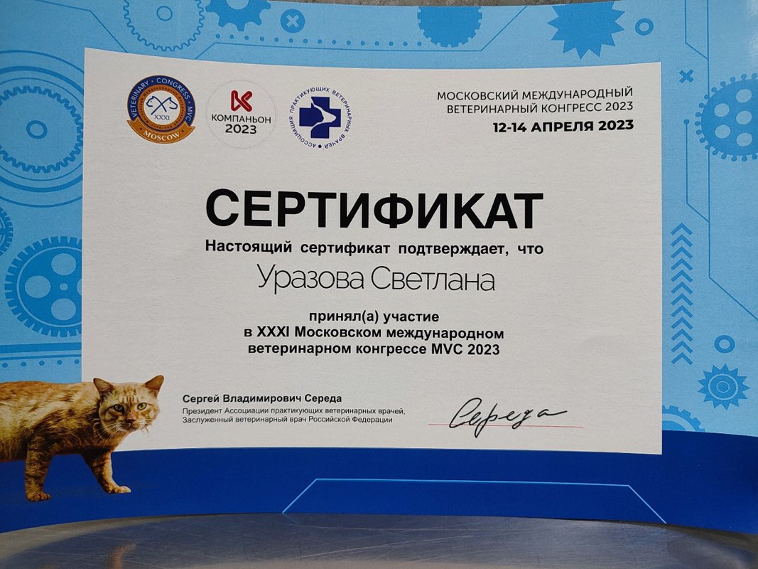 Документ или сертификат