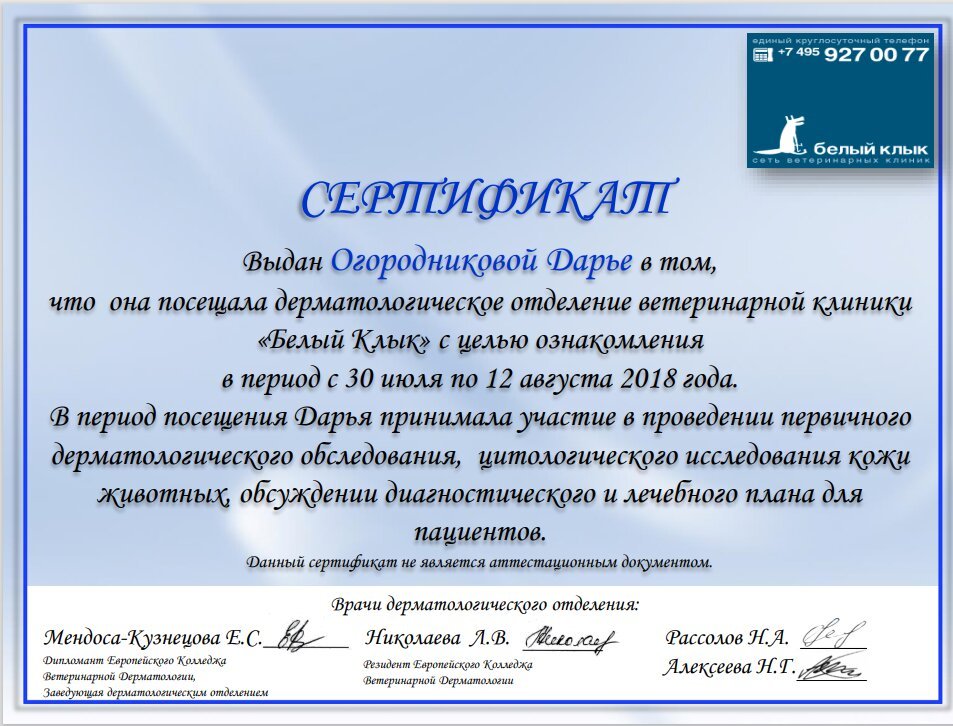 Документ или сертификат