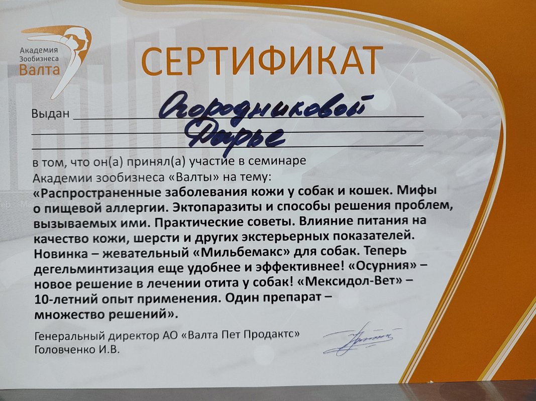 Документ или сертификат
