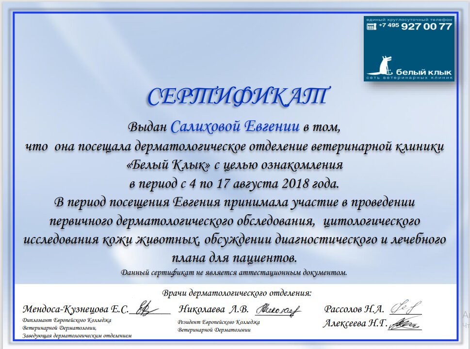 Документ или сертификат