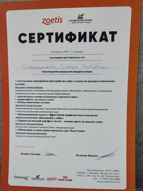 Документ или сертификат