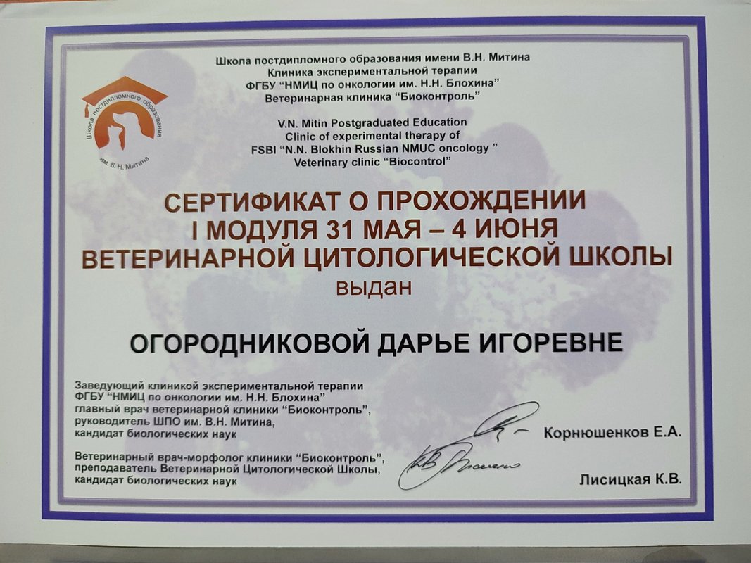 Документ или сертификат