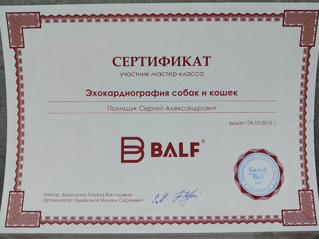 Документ или сертификат