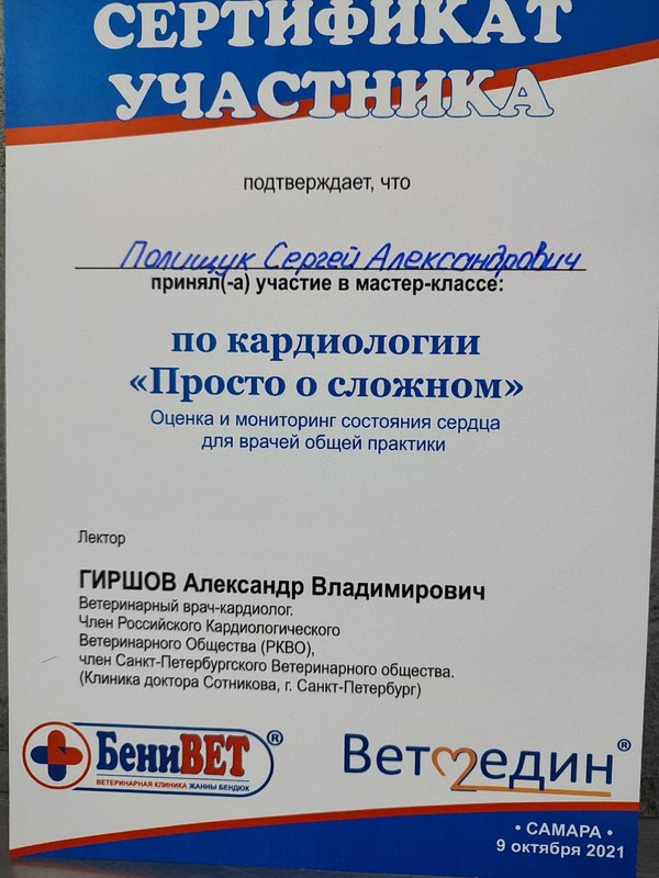 Документ или сертификат