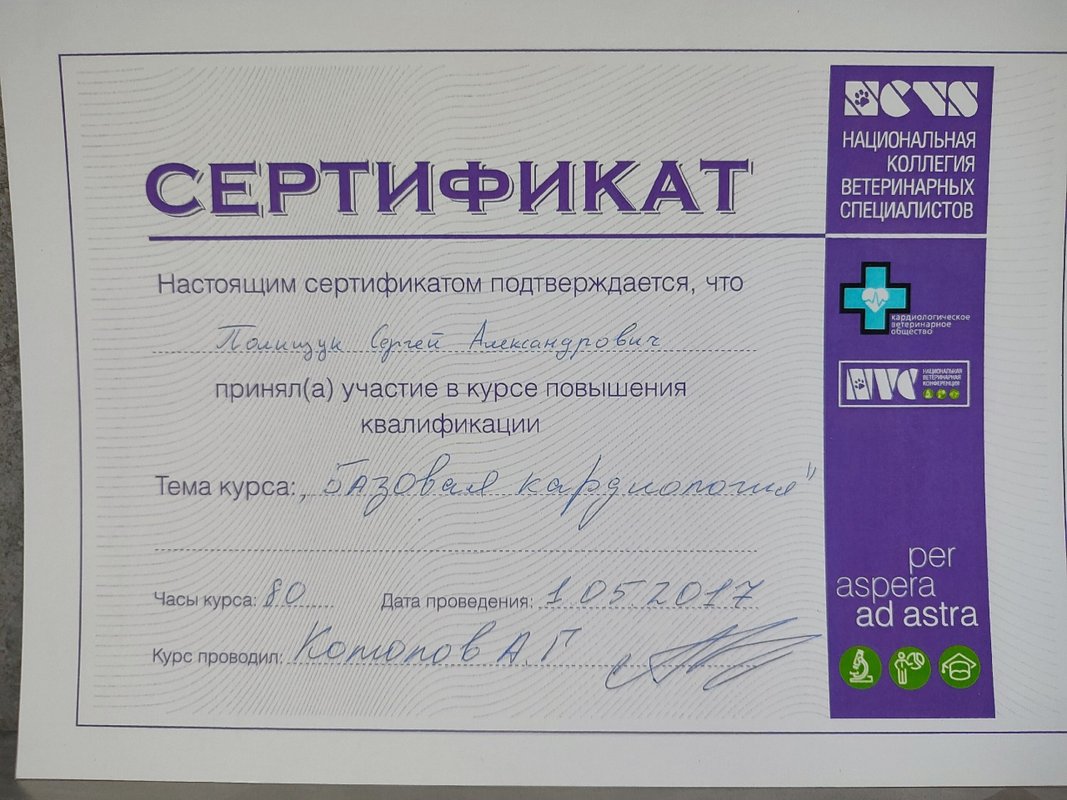 Документ или сертификат