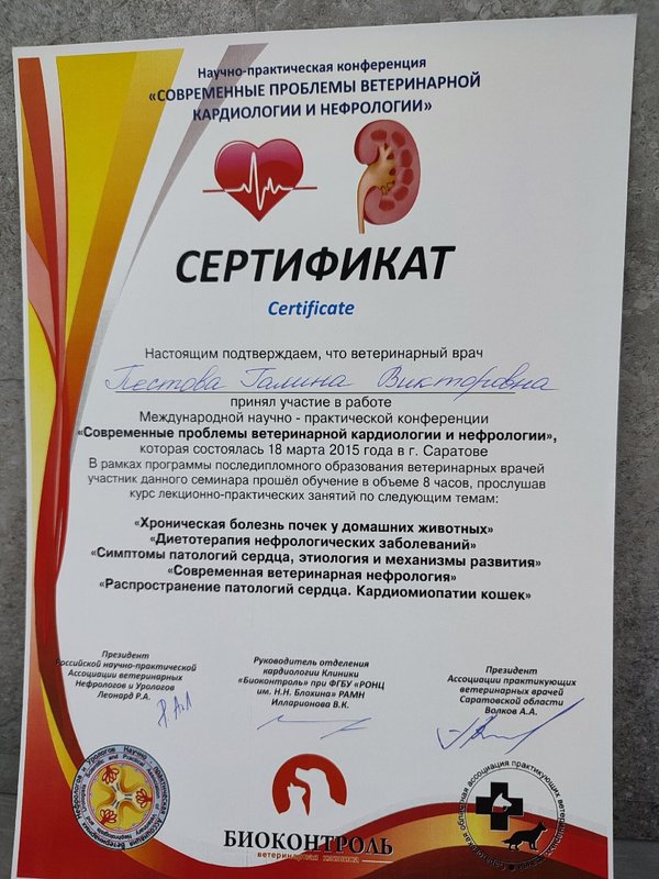 Документ или сертификат