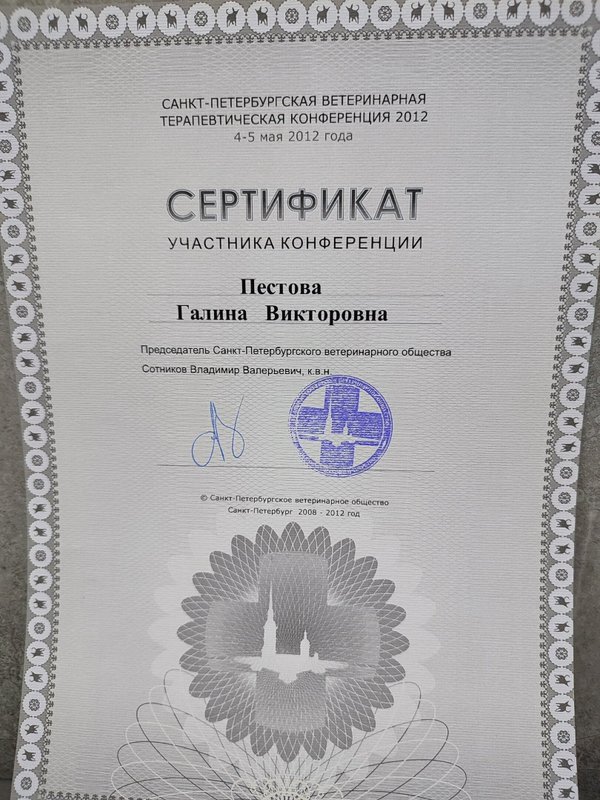 Документ или сертификат