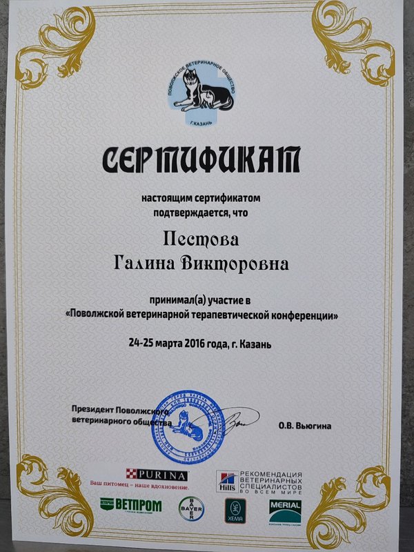 Документ или сертификат