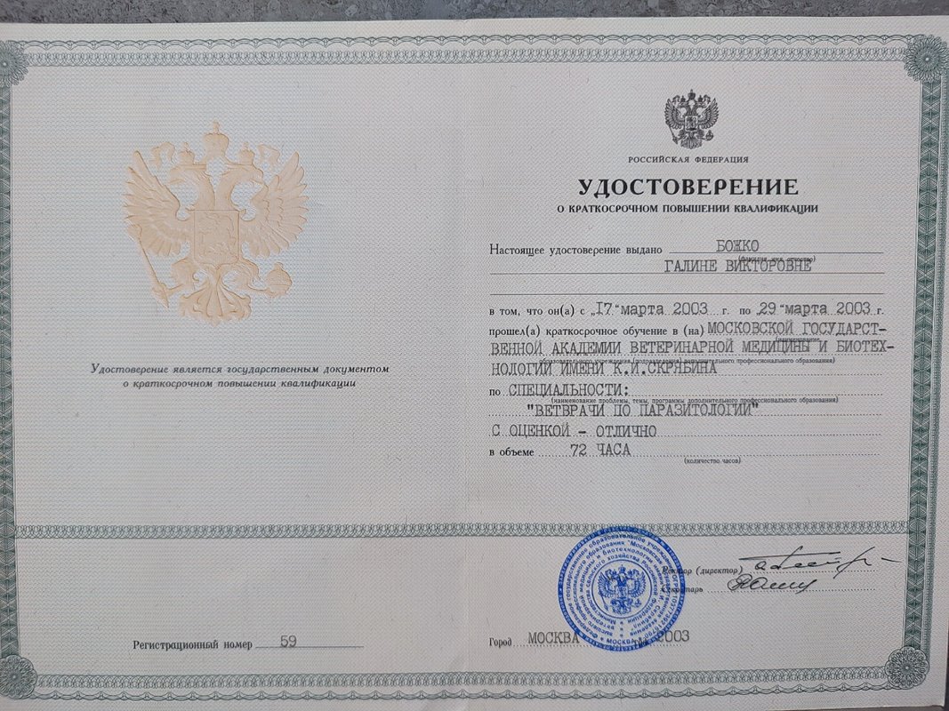 Документ или сертификат