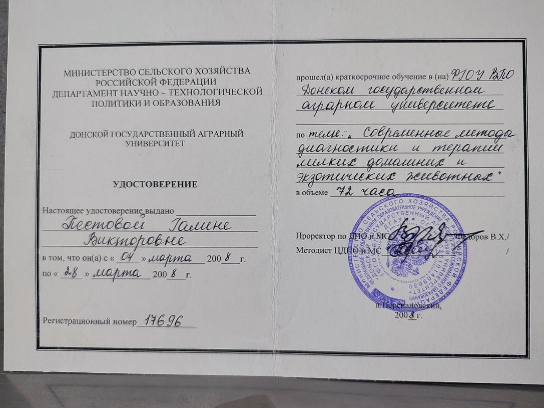 Документ или сертификат