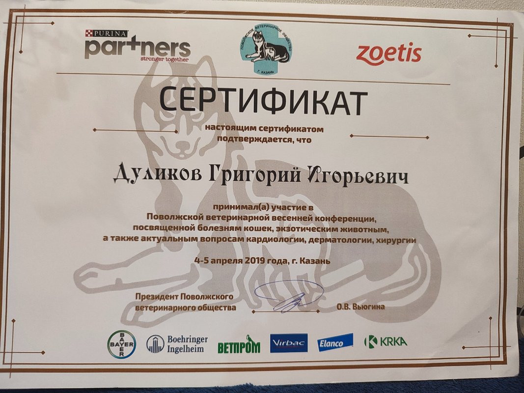 Документ или сертификат