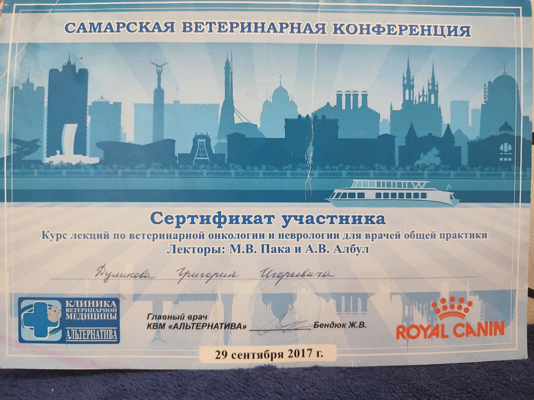 Документ или сертификат