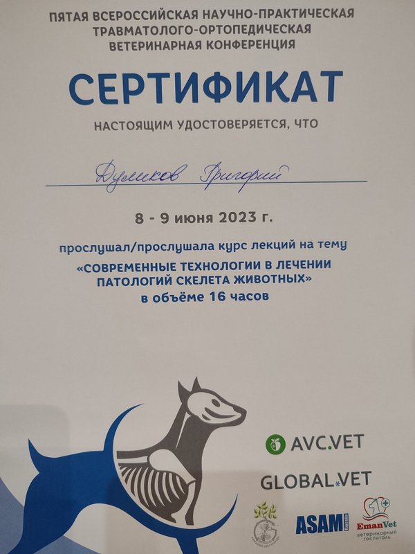Документ или сертификат