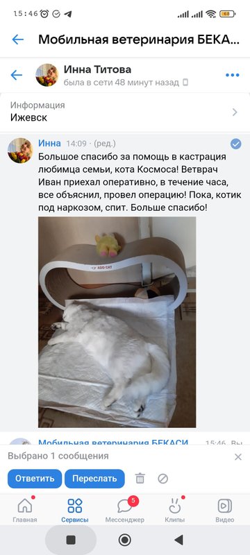 Фото врача