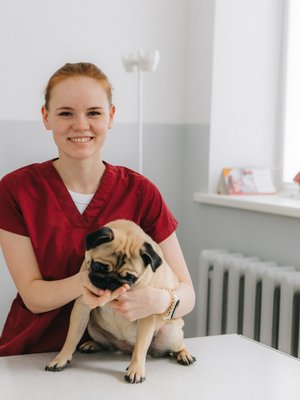 Фото врача Штенникова Анна Владимировна