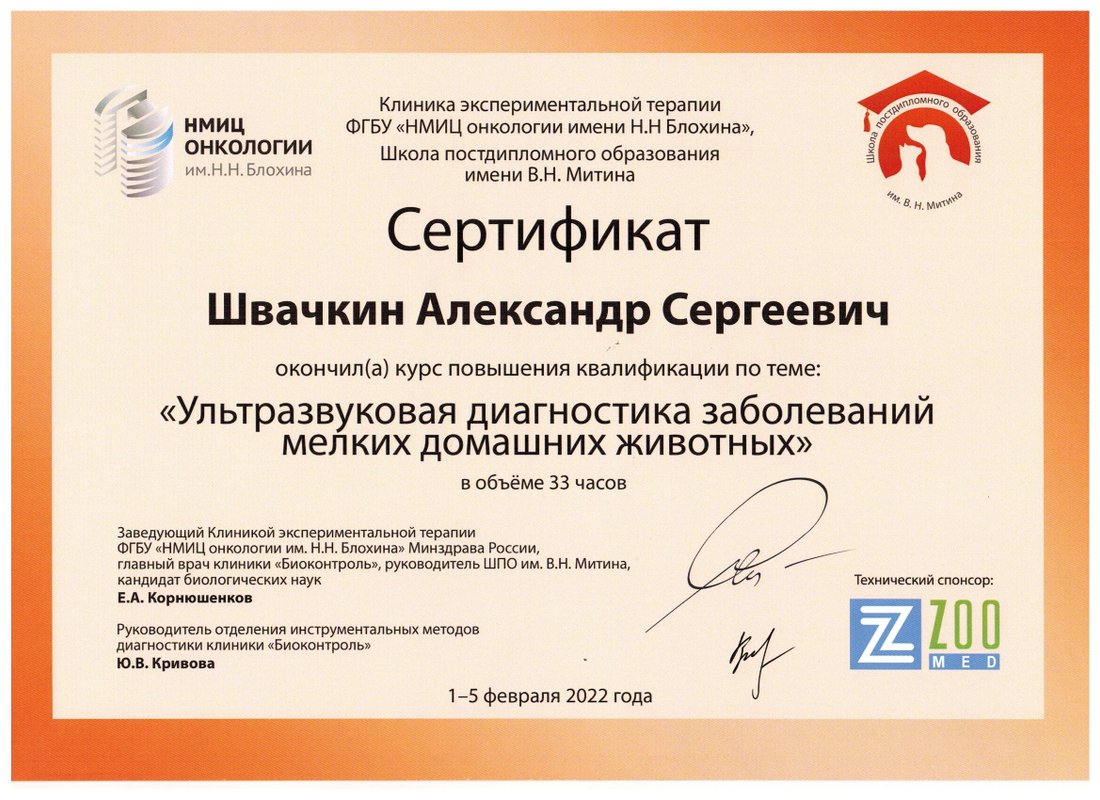 Документ или сертификат