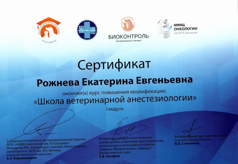 Документ или сертификат