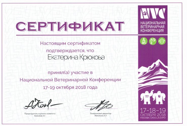 Документ или сертификат