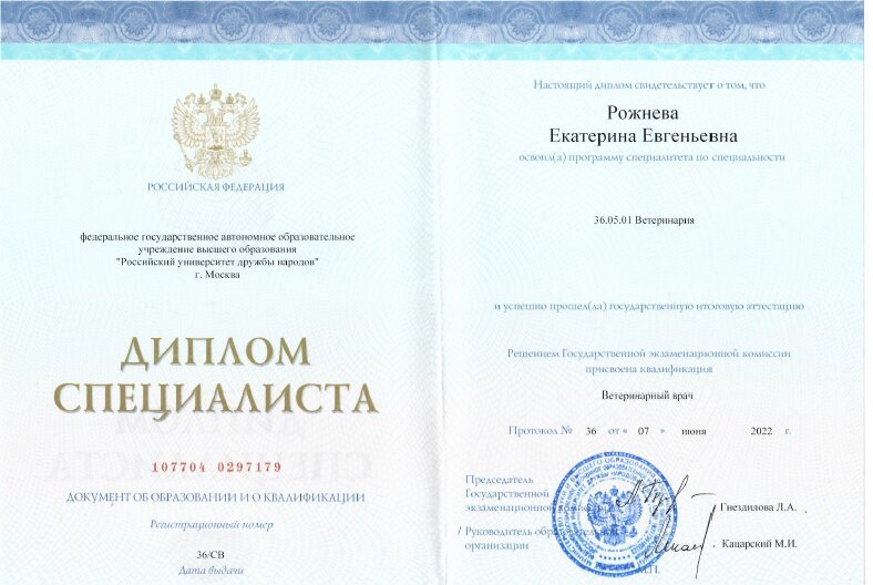 Документ или сертификат