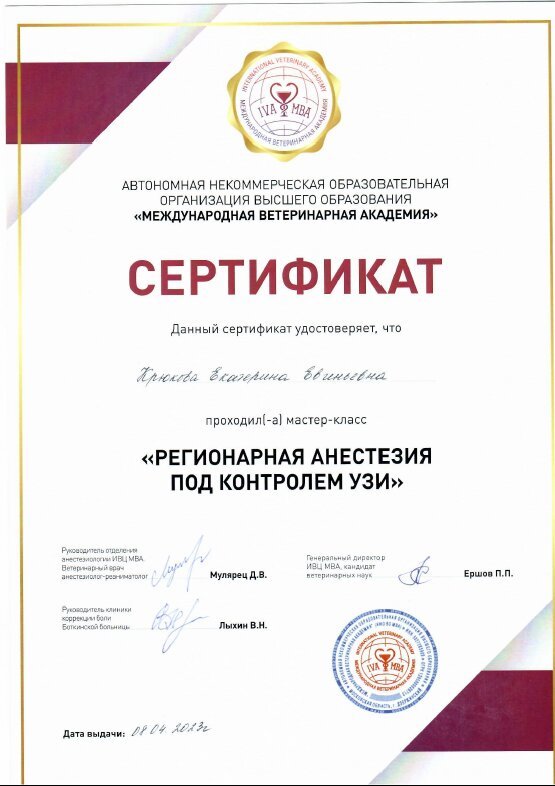 Документ или сертификат