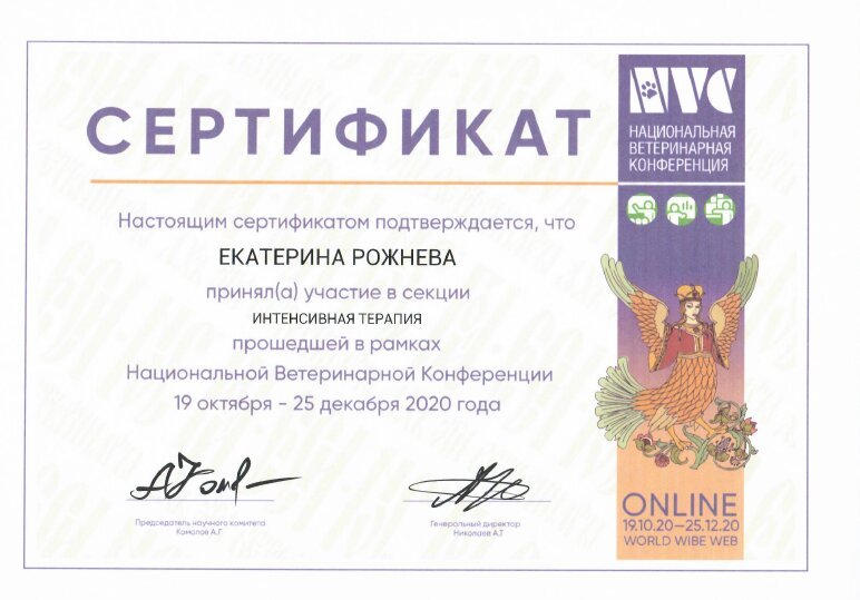 Документ или сертификат