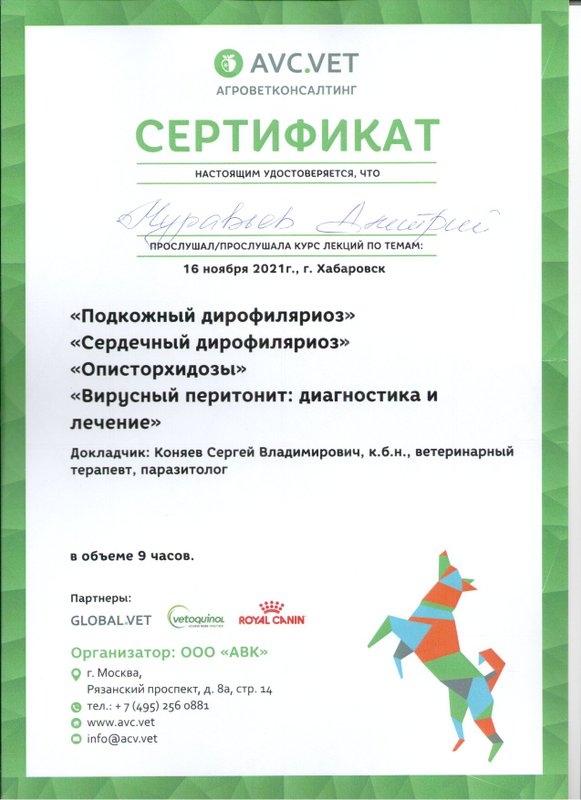 Документ или сертификат