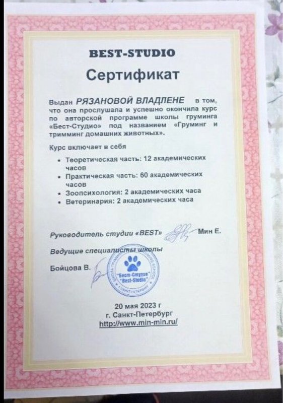 Документ или сертификат