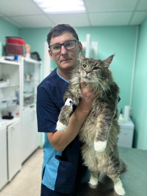 Фото врача Зильберлейб Кирилл Александрович