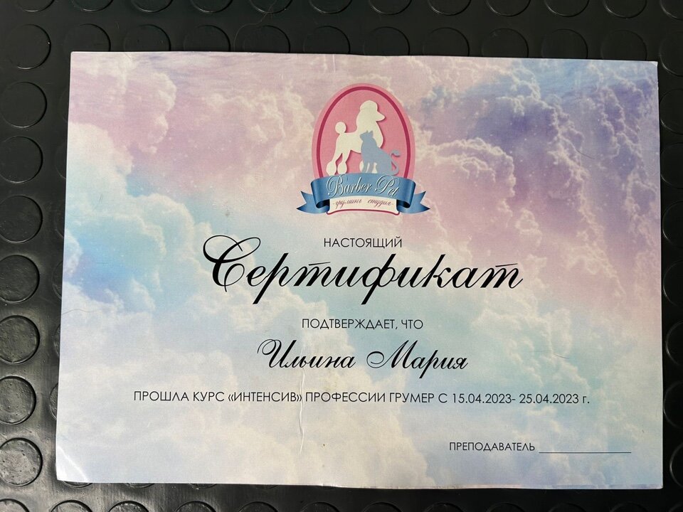 Документ или сертификат