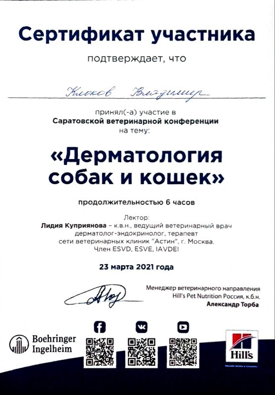 Документ или сертификат