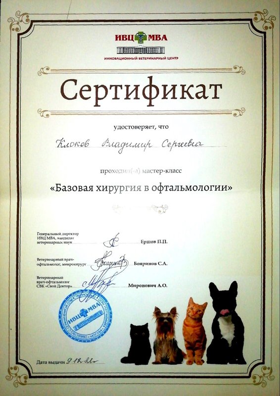 Документ или сертификат