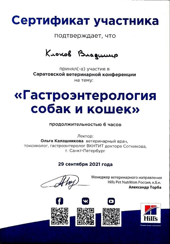 Документ или сертификат