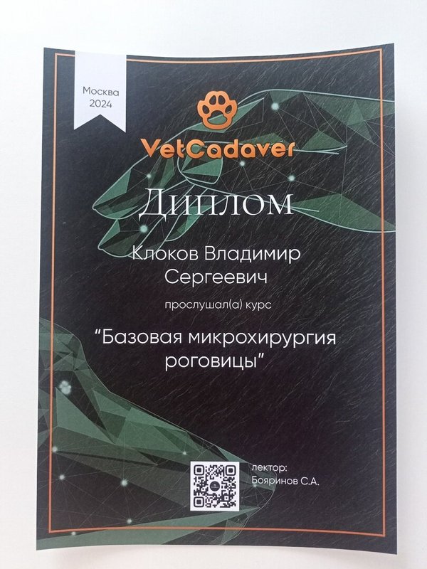 Документ или сертификат