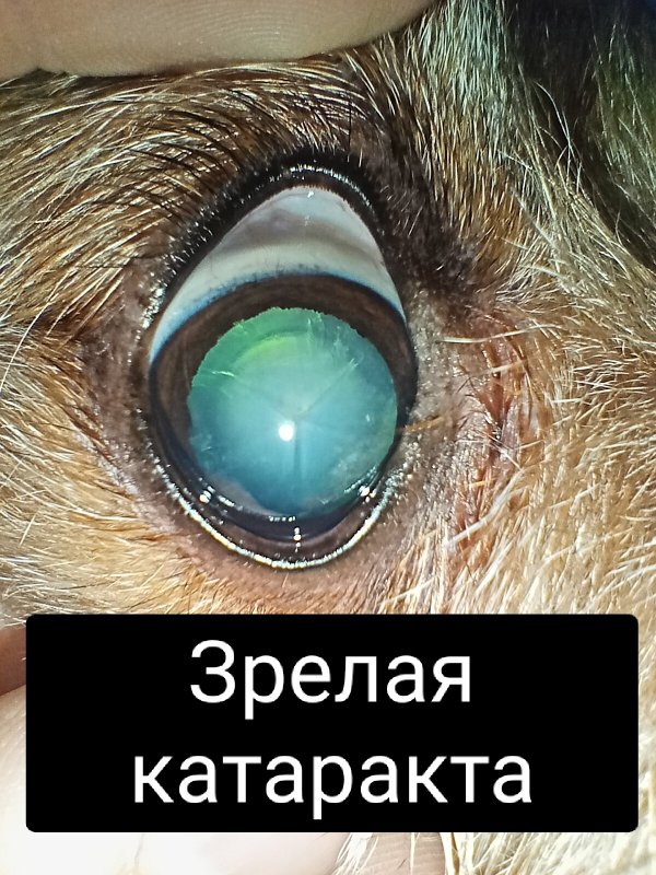 Фото врача