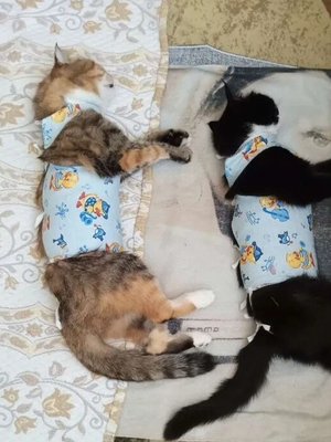 Фото врача Имайкина Елена Александровна