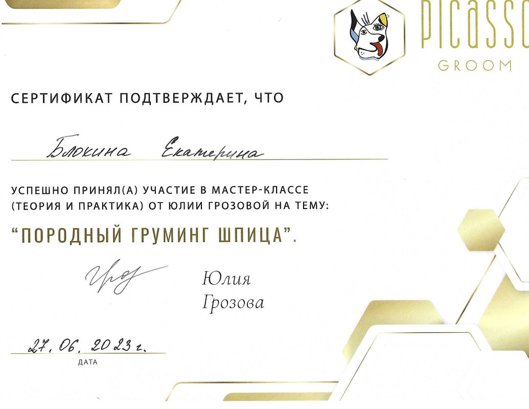 Документ или сертификат