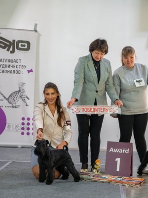 Фото врача Трещёва Арина Станиславовна