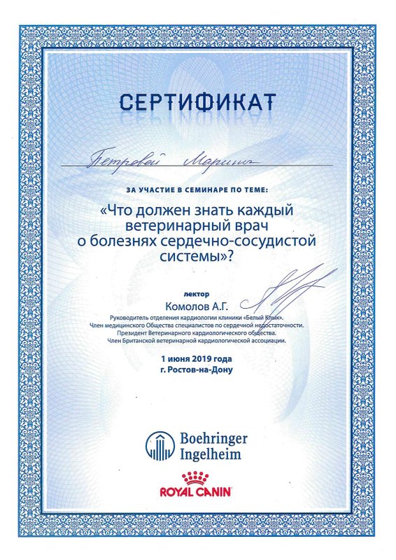 Документ или сертификат